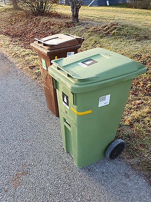 Frostigt grönt och brunt kärl i höstmiljö